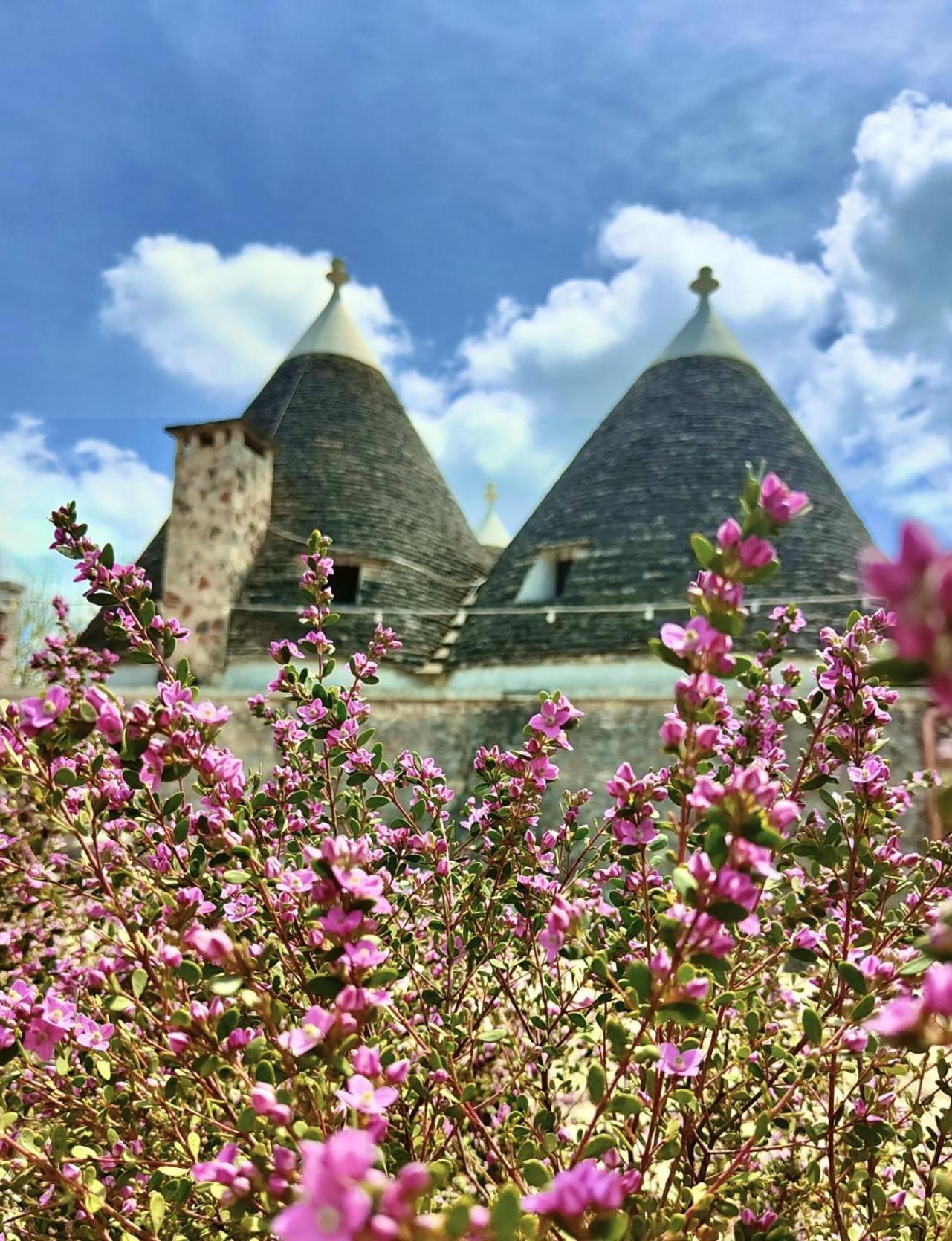 Trulli Allegretti Ночи Екстериор снимка